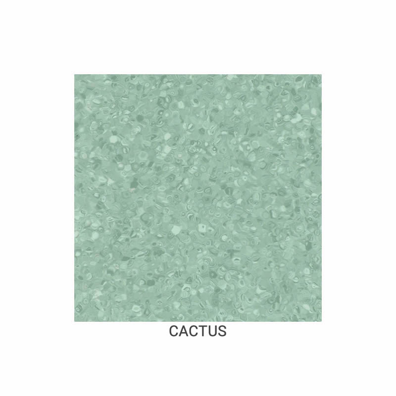 img cactus