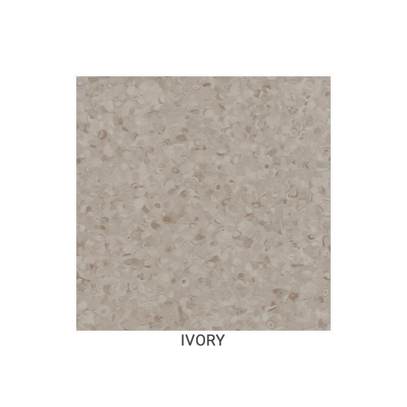 img ivory