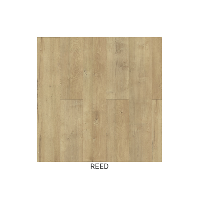 img Reed
